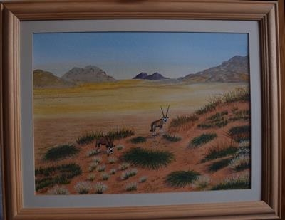 Gemsbok (Gems buck) in the Namib desert