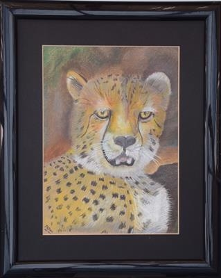 Potrait of a Cheetah