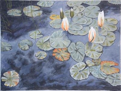 Water Lilies about to bloom