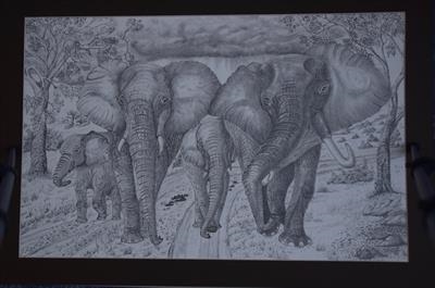 Family of Elephants