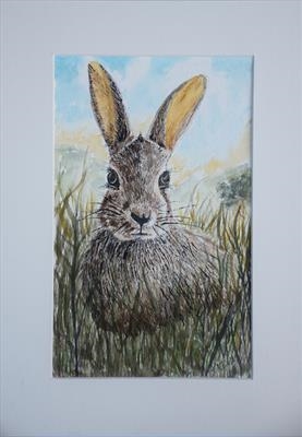 Hare in the Grass