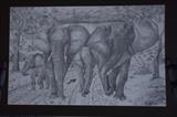 Family of Elephants by Chubby-ArtStudio, Drawing, Graphite pencil
