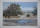 Footprints in the mud by a waterhole by Chubby-ArtStudio, Painting, Pastel on Paper
