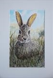 Hare in the Grass by Chubby-ArtStudio, Painting, Mixed Media on paper