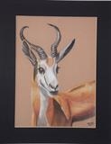 Portrait of a Springbuck by Chubby-ArtStudio, Painting, Pastel on Paper