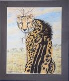 Portrait of a rare King Cheetah by Chubby-ArtStudio, Painting, Pastel on Paper